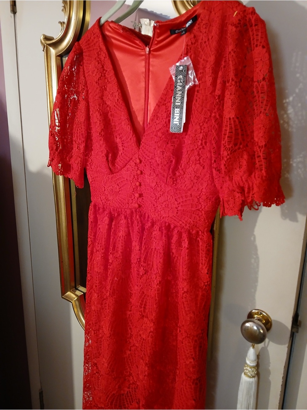 Gianni Bini Red Lace V-Neck Dress